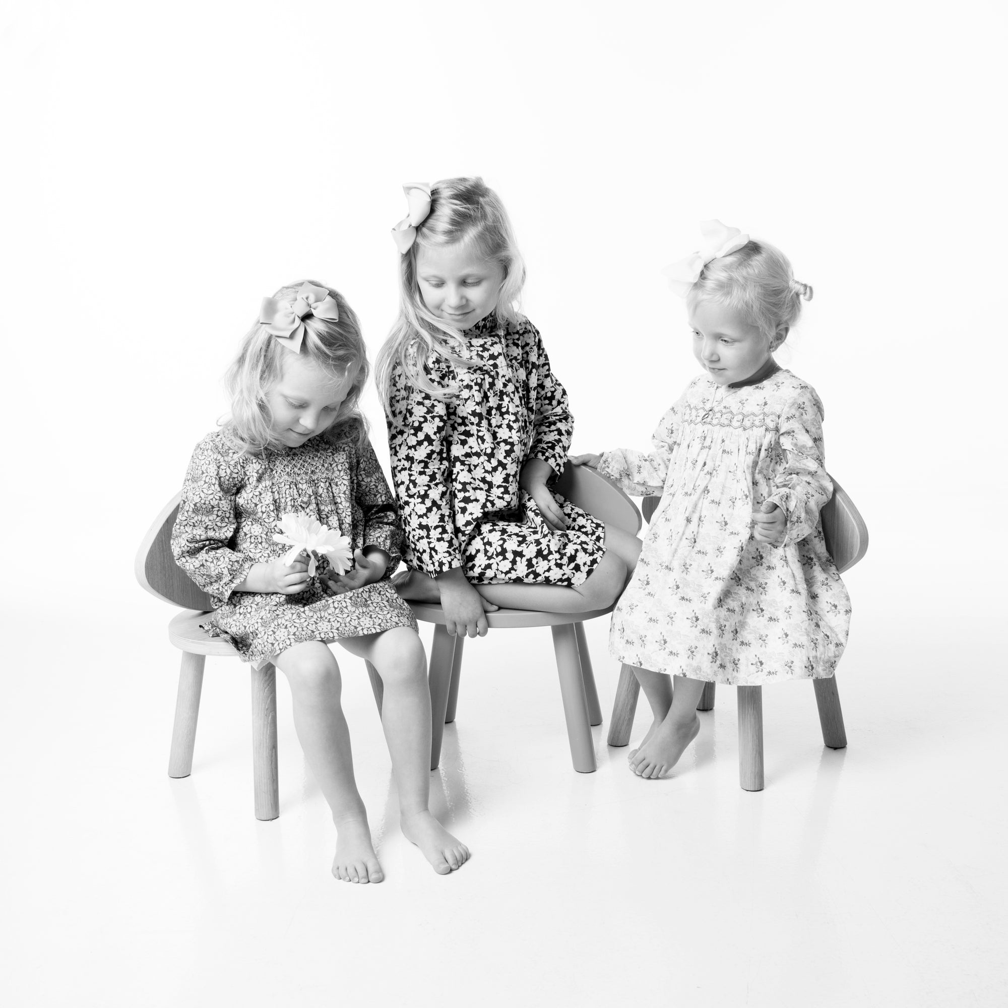 Familie fotografering